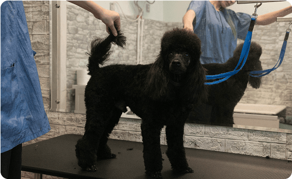 Отзыв от Марсель, 1 год